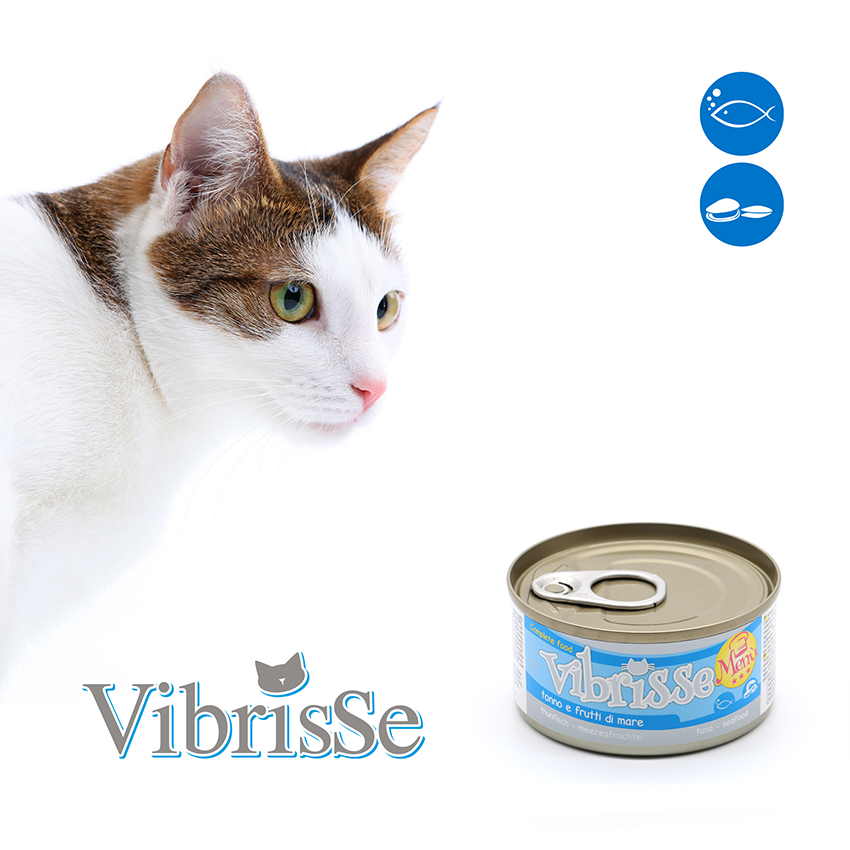 Natural cat food - Vibrisse Menu 70g