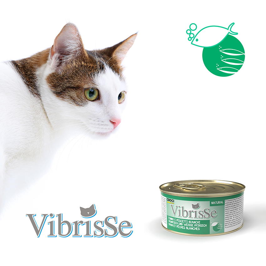 Natural cat food - Vibrisse Natural