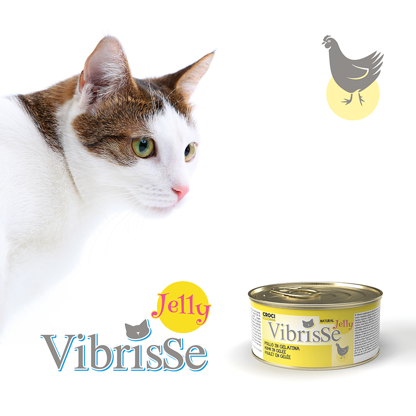 Wet cat food in jelly - Vibrisse Jelly 70g can