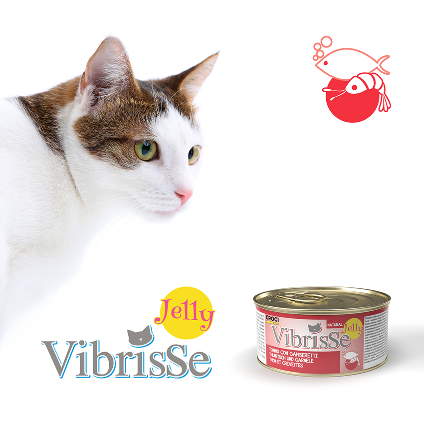 Comida húmeda para gatos en gelatina - Vibrisse Jelly Lata 70g