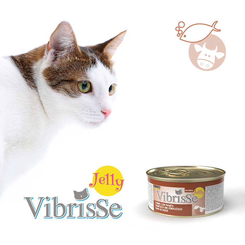 Wet cat food in jelly - Vibrisse Jelly 70g can