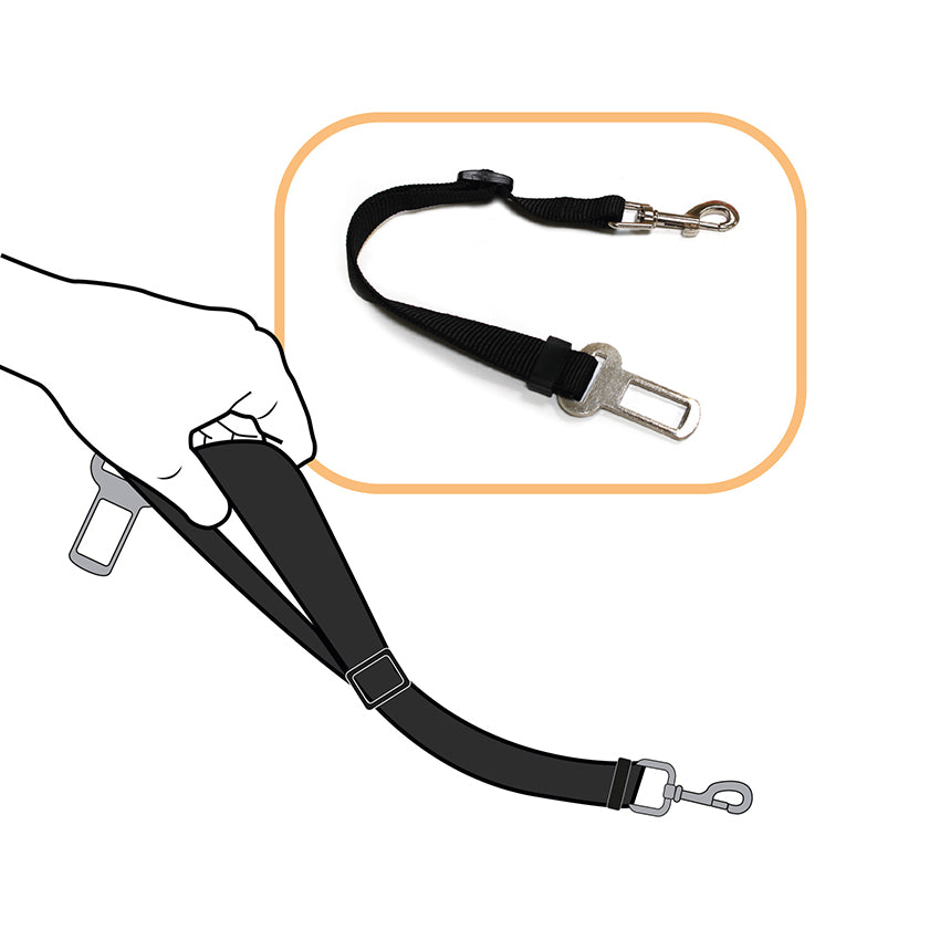 Dog seat belt for cars with anchor attachment