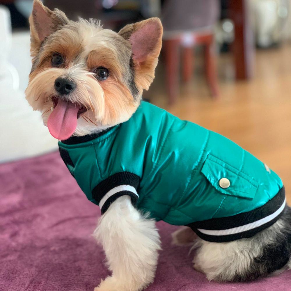 Chaqueta acolchada para el frío para perros