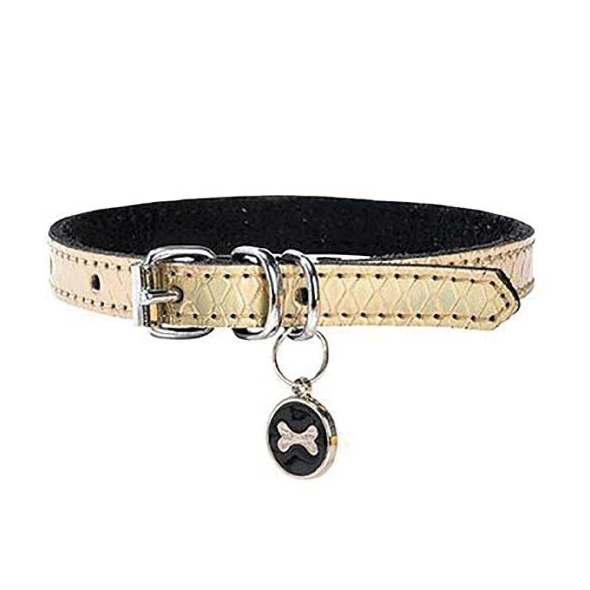 Collier pour chien Bobby - Power