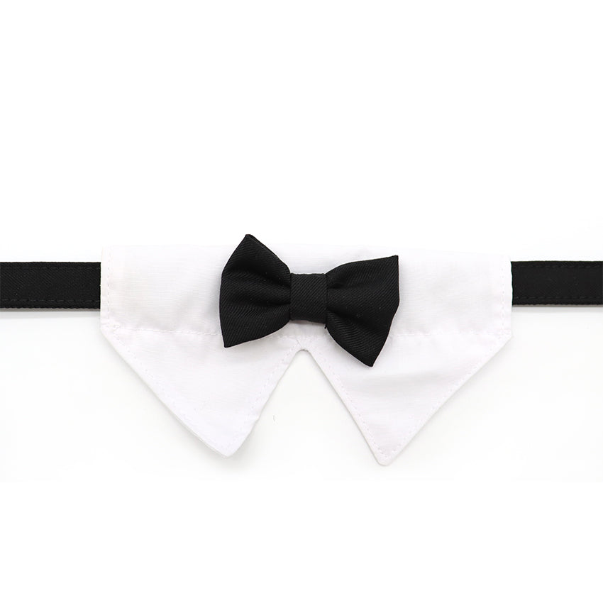 Dog collar with collar and bow tie Ceremony - Tuxedo