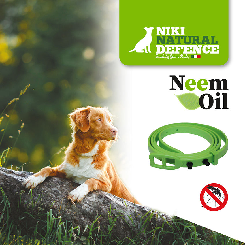 Neem oil toxic to dogs hotsell