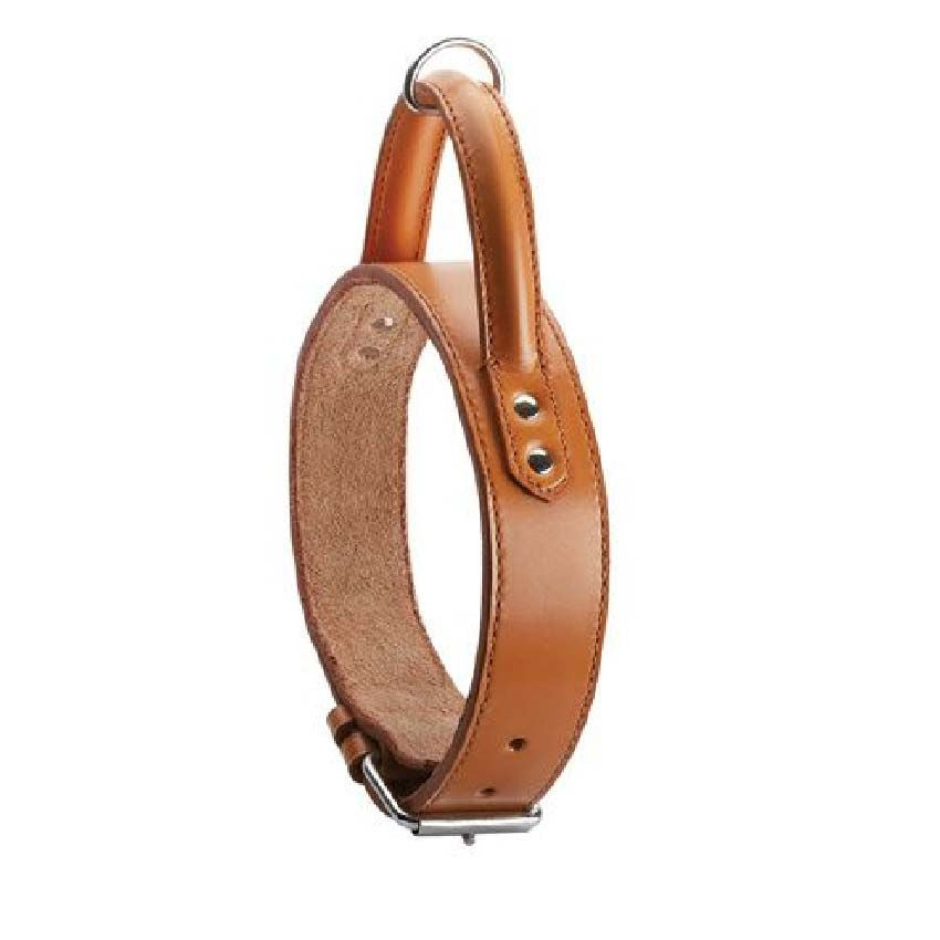 Bobby handle dog collar - Bombee