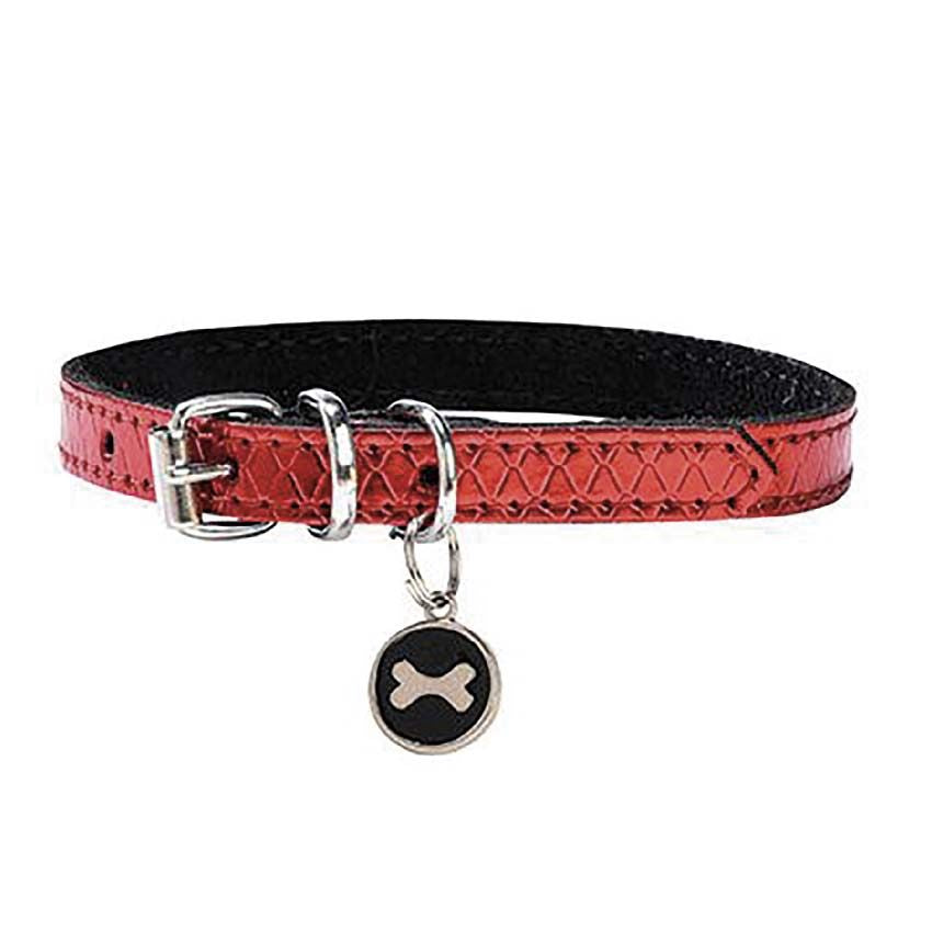 Collier pour chien Bobby - Power
