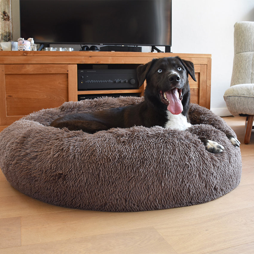 Stress store dog bed