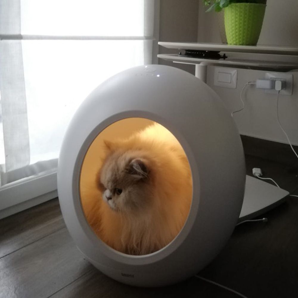 Domus technological kennel for cats and dogs