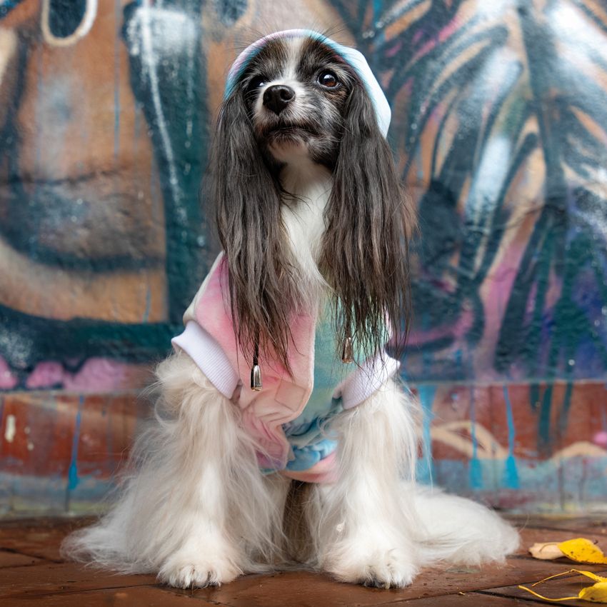 Felpa con cappuccio per cane Kaleido