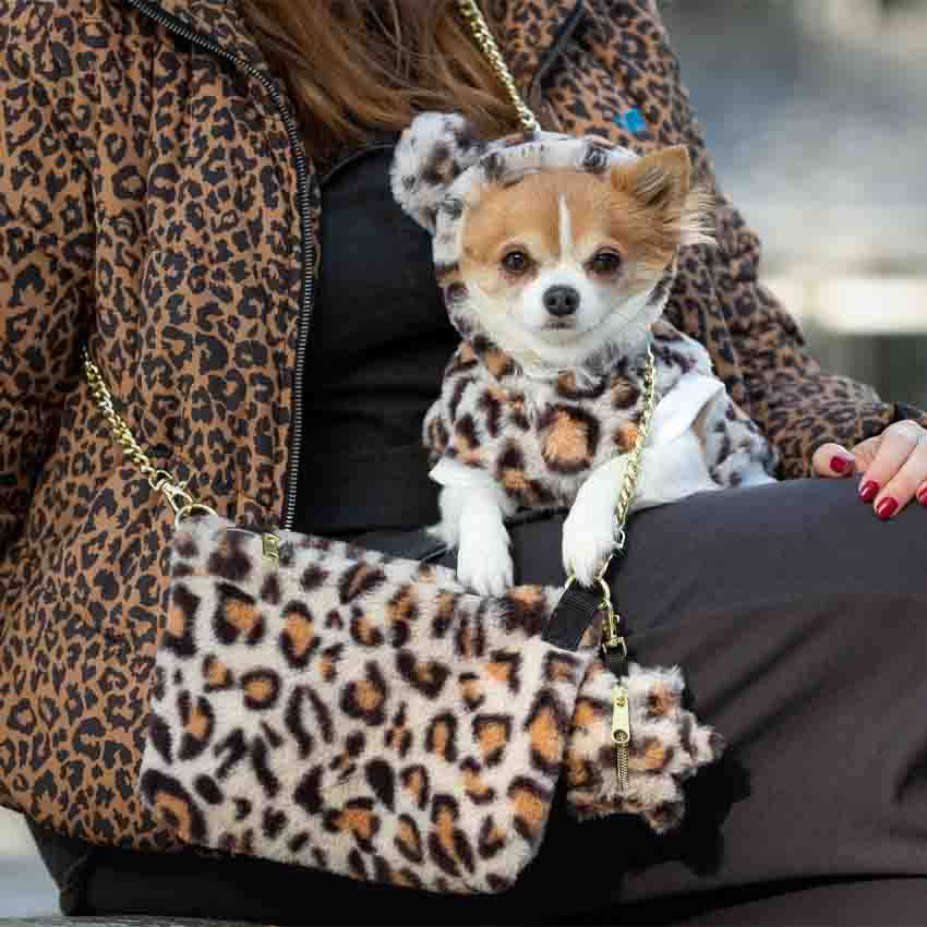 Hunde-Sweatshirt mit Kapuze – Guepard