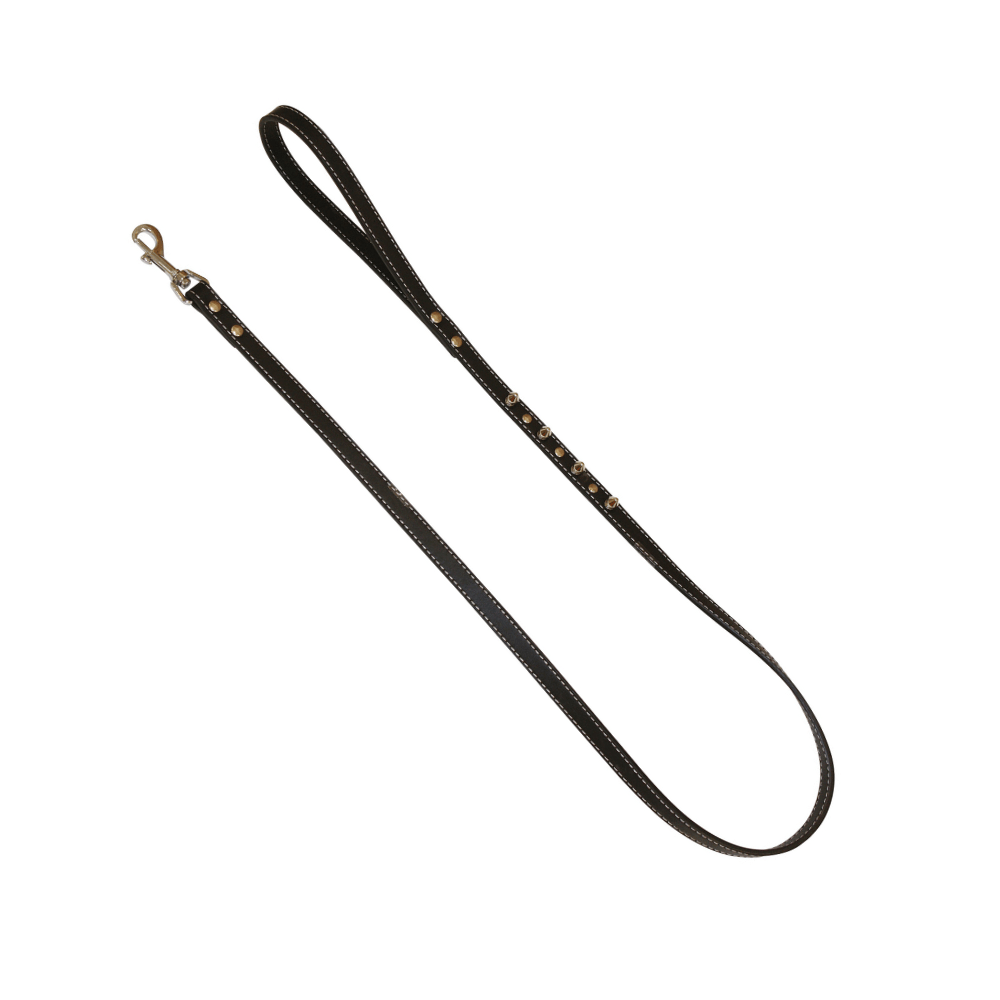 Dog leash with leather studs