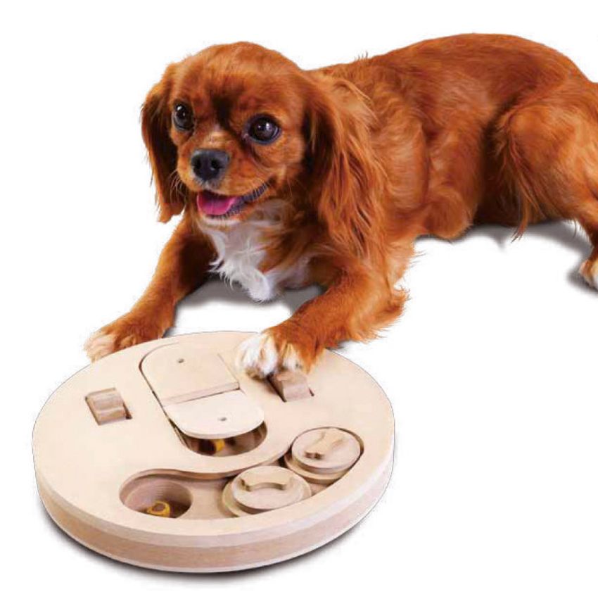 Intelligence game for dogs - Smart Toy Flip