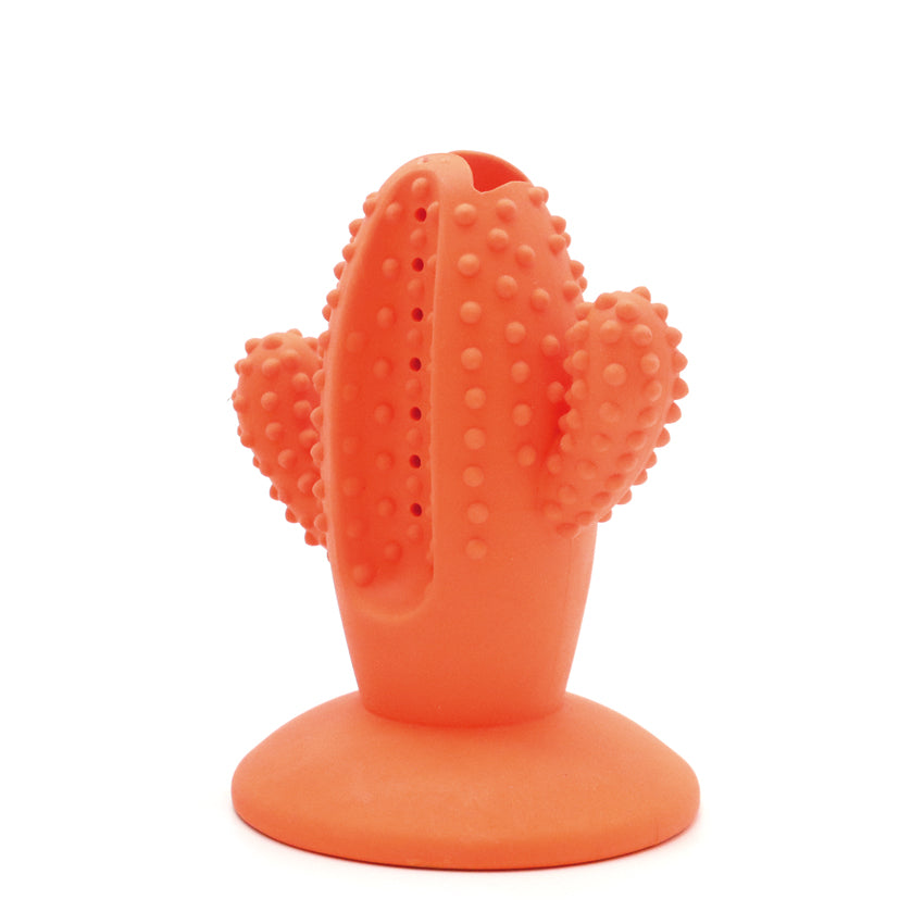 Rubber Dog Toy - Cactus 