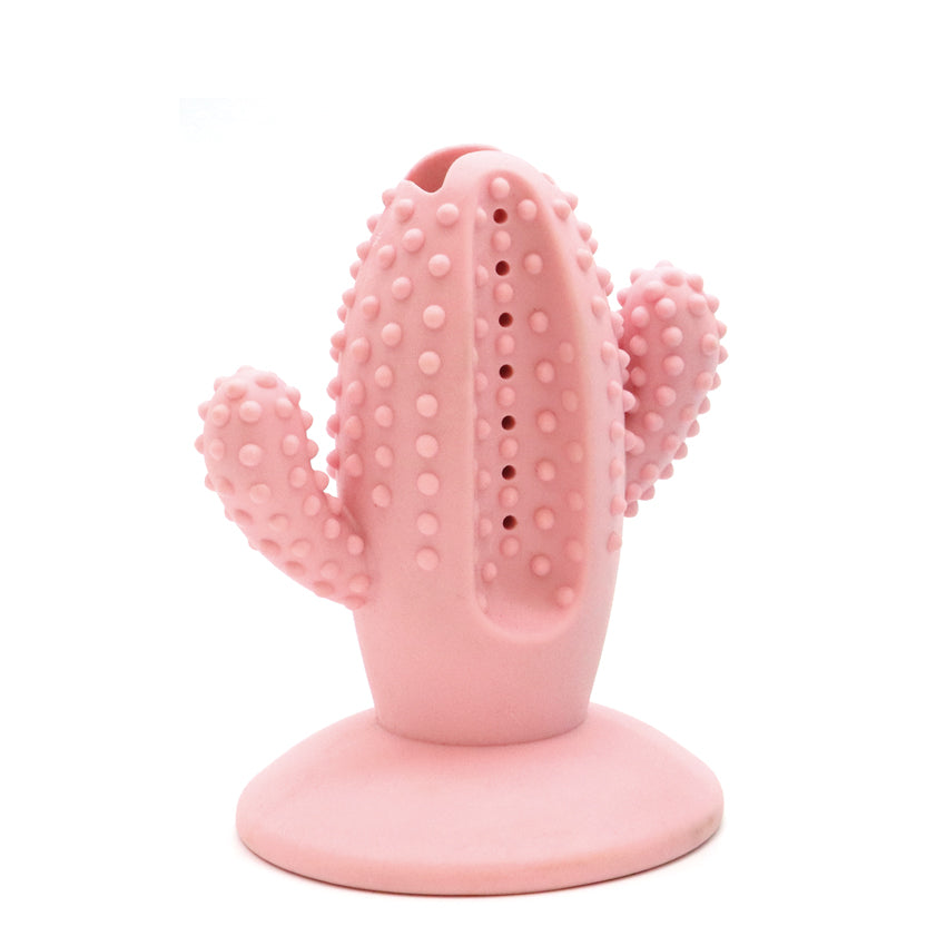 Rubber Dog Toy - Cactus 