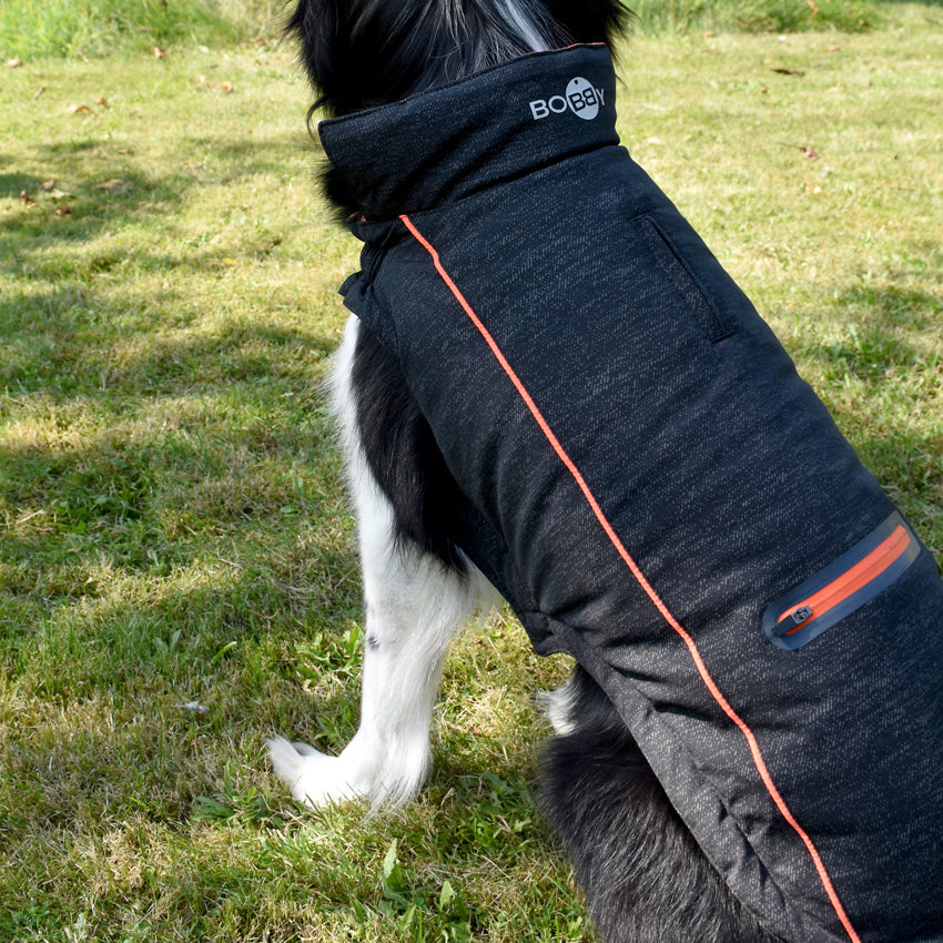 Hundejacke Bobby – Smart