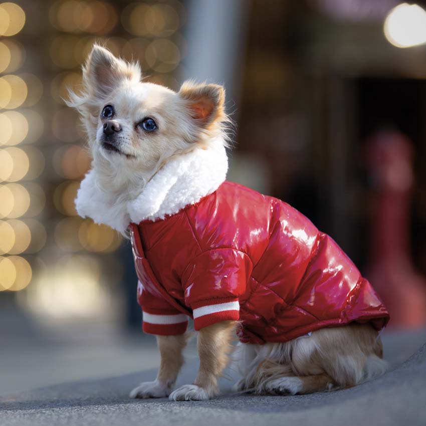 Giubbotto cani Red Snow