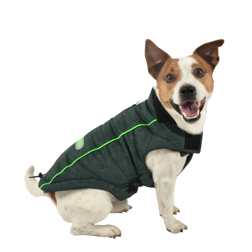 Hundejacke Bobby – Smart