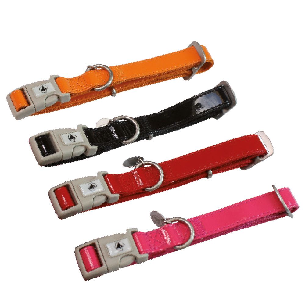 Dog collar with customizable tag - Glossy