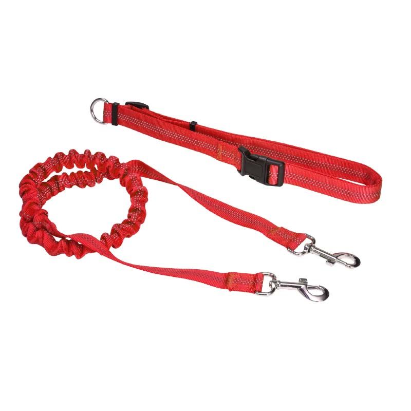 3 foot dog leash best sale