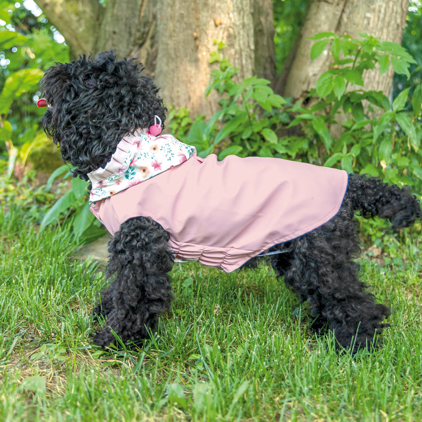 Imperméable chien - Jardin de roses