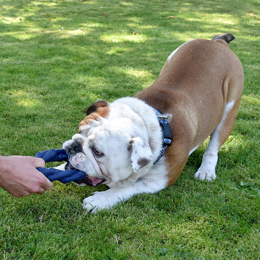 Jouet pour chien en caoutchouc Bobby - Bambou