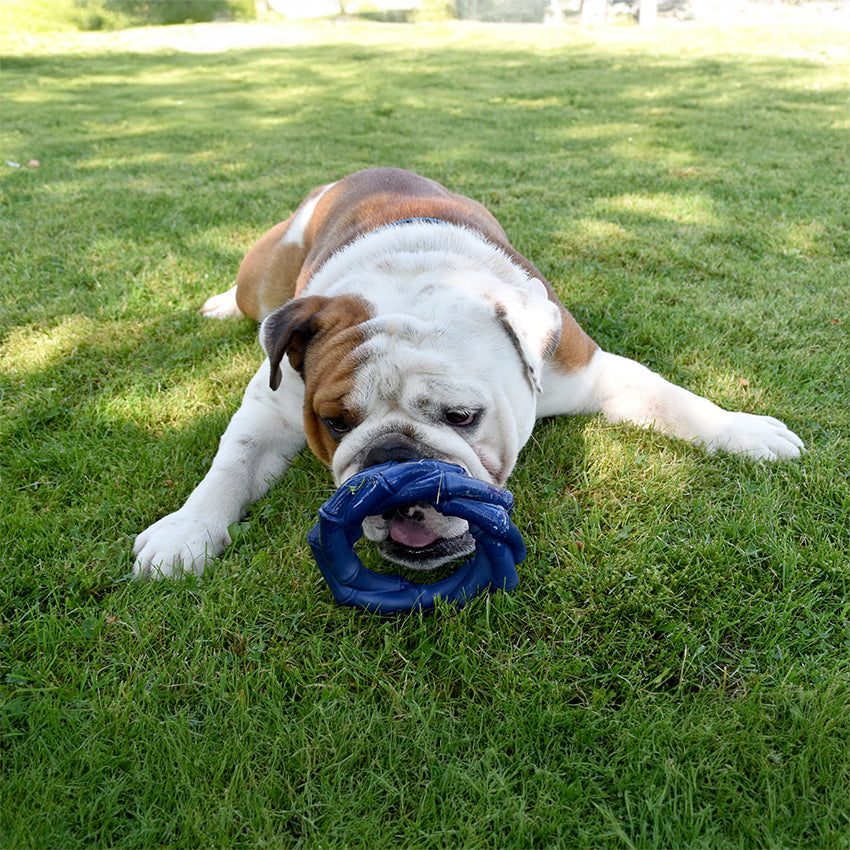 Jouet pour chien en caoutchouc Bobby - Bambou