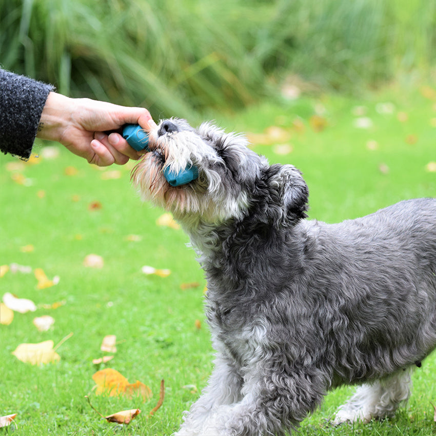 Bobby rubber dog toy - Rope