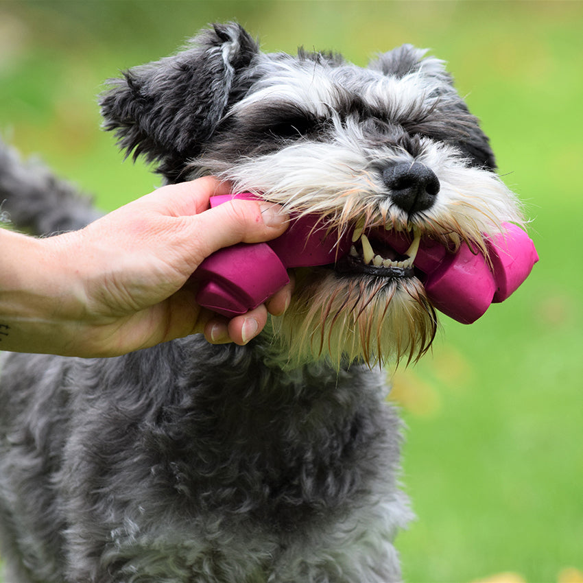 Bobby rubber dog toy - Rope