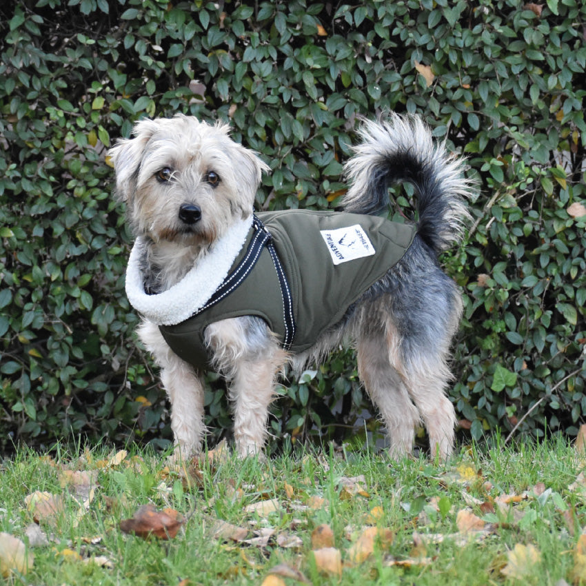 Cappotto per cani imbottito Manteau City con pettorina integrata e dettagli riflettenti