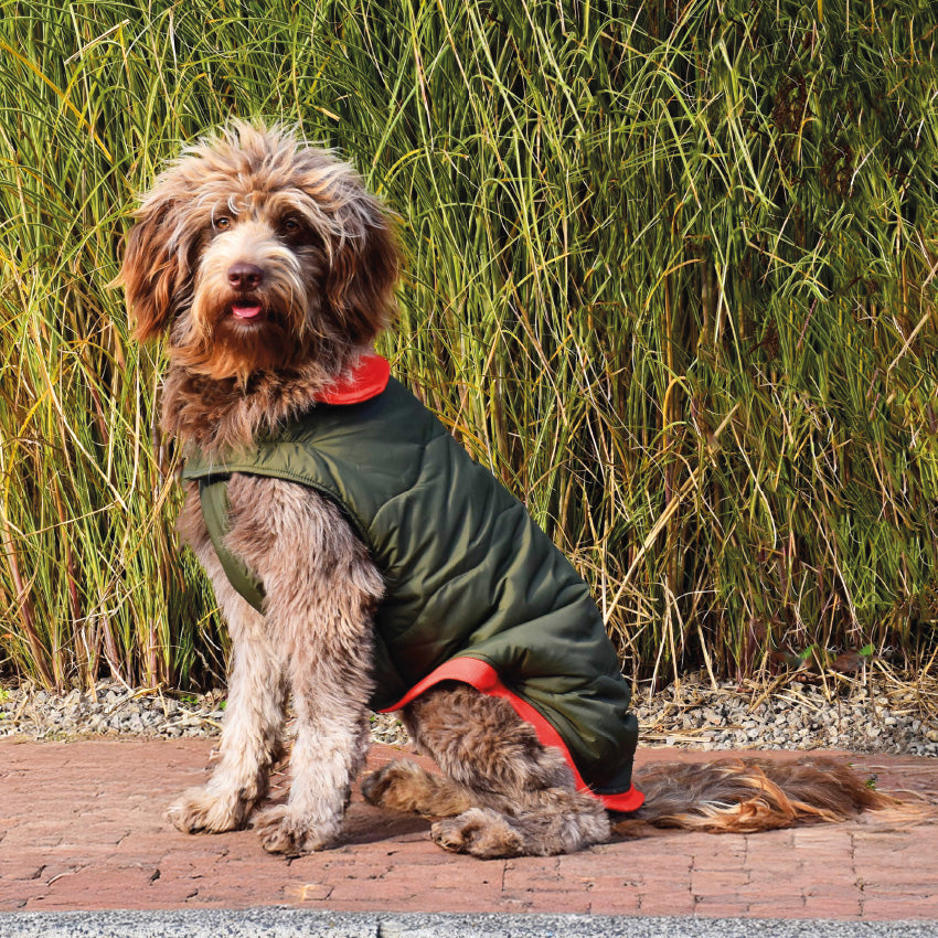 Cappotto per cani imbottito Manteau Contraste con fodera in pile e dettagli a contrasto