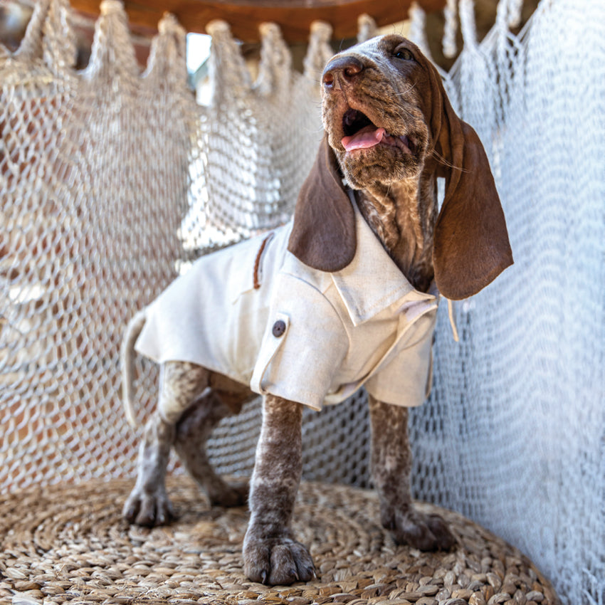 Maglia per cani con colletto - Linen Sand