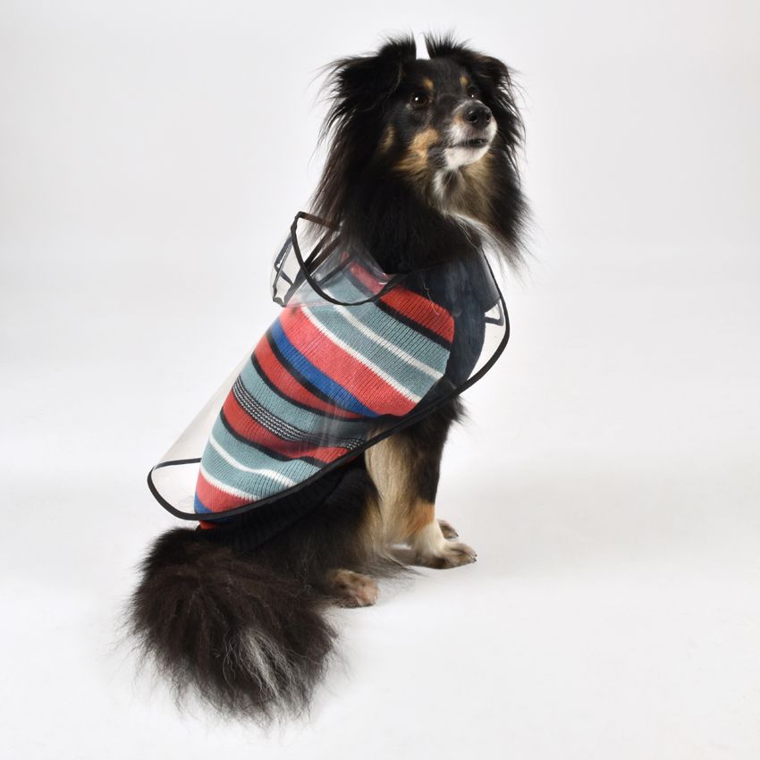 Bobby dog ​​raincoat and sweater - Cape
