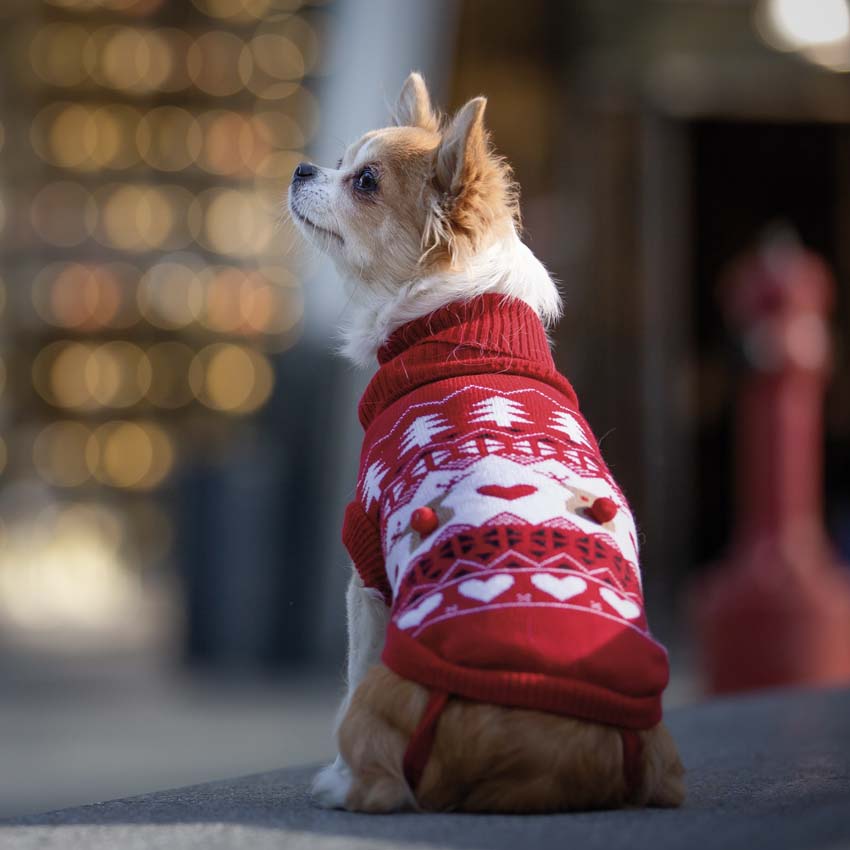 Maglioncino per cani Natale Deer Happy