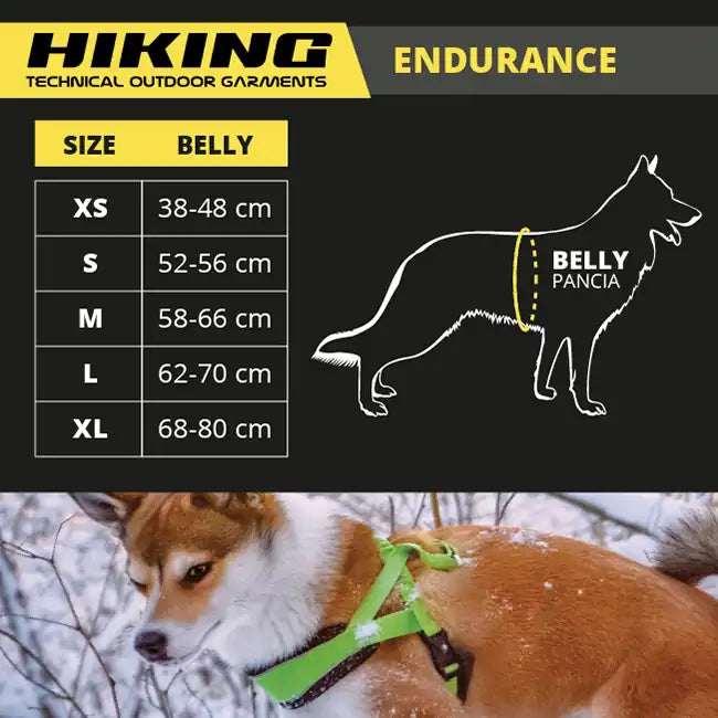 Hiking Swedish Endurance Harness