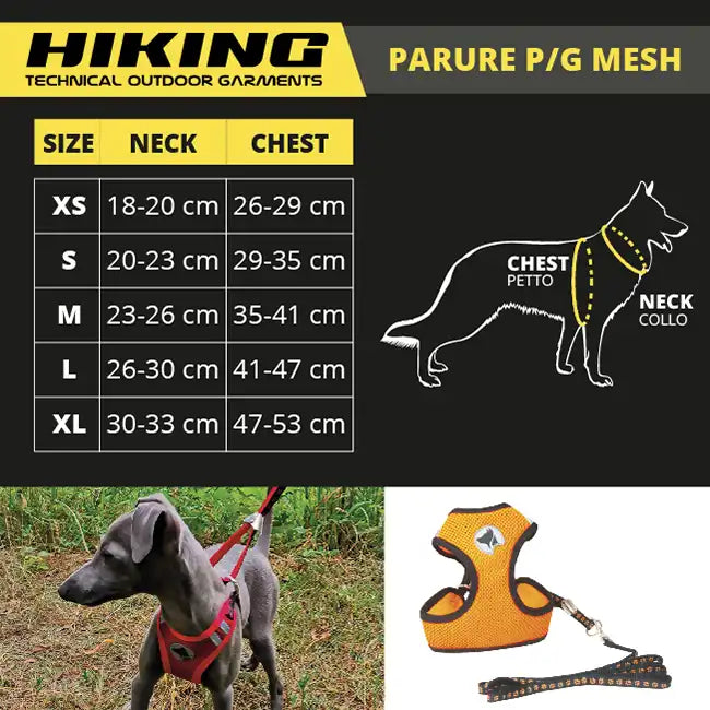 Guinzaglio cane e Pettorina - Hiking