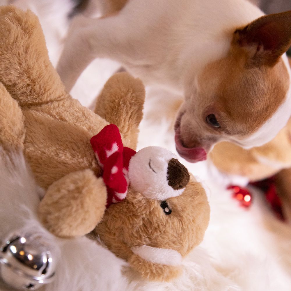 Kuscheltier für Hunde - Mein Teddy