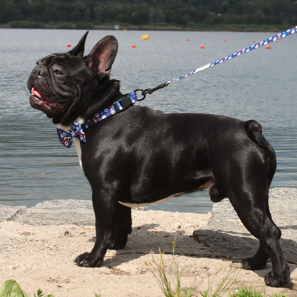 Hundehalsband mit Meeresmuster