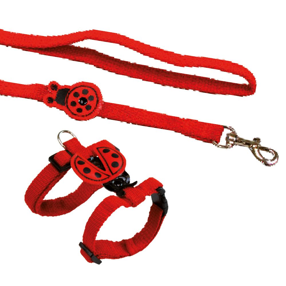 Nylon dog leash and harness - Ladybird
