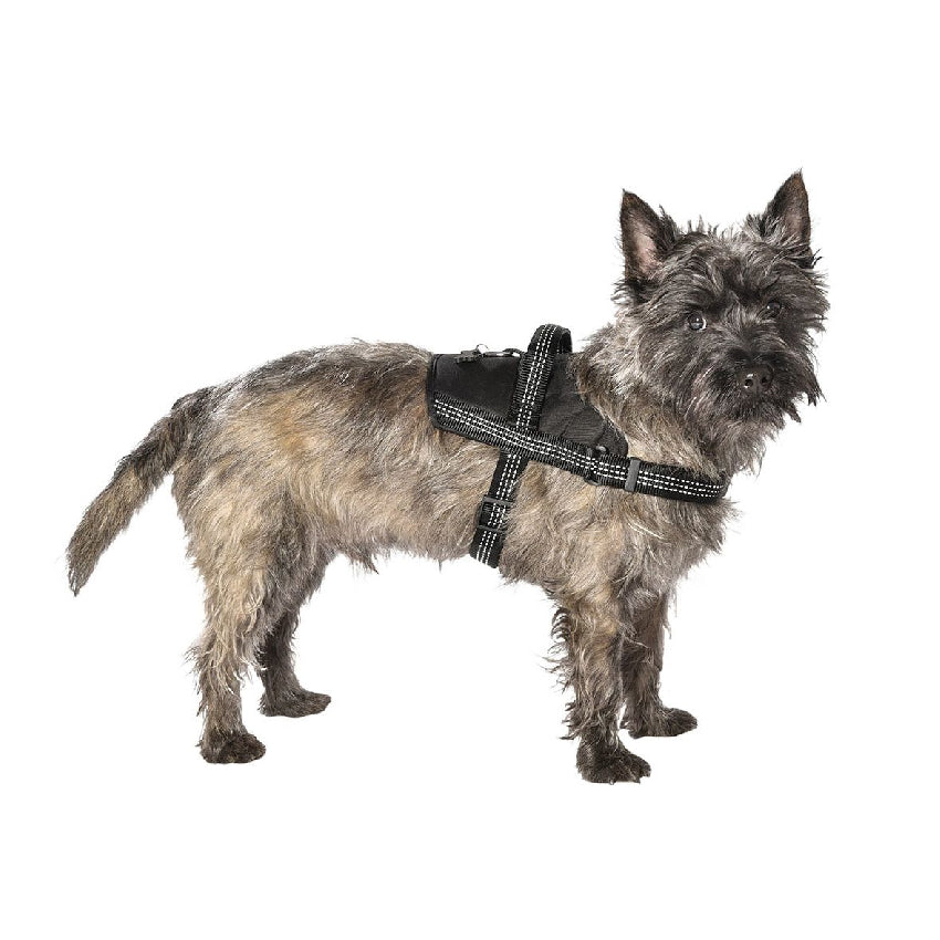 Bobby dog ​​harness - Easy Safe