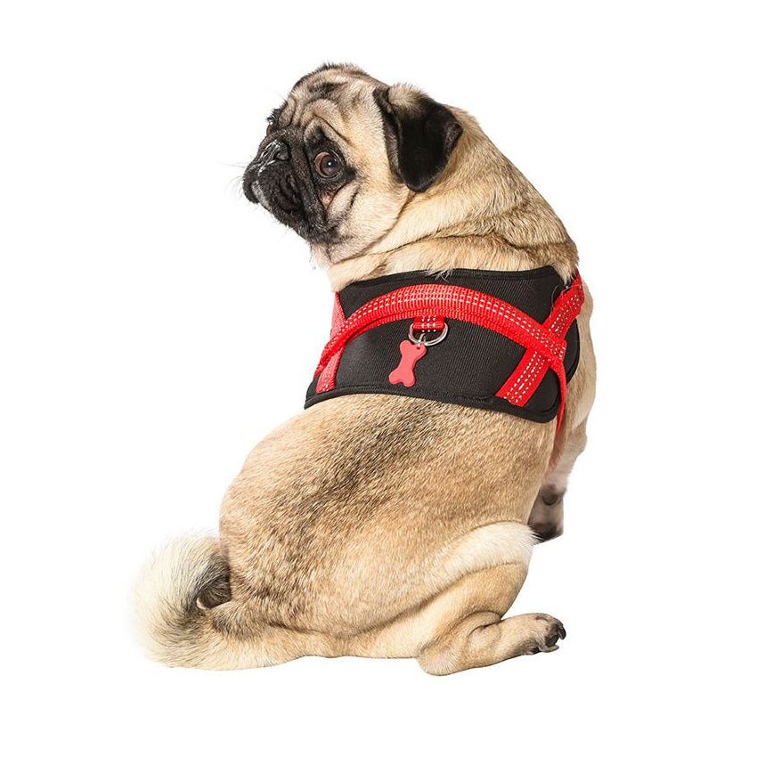 Bobby dog ​​harness - Easy Safe