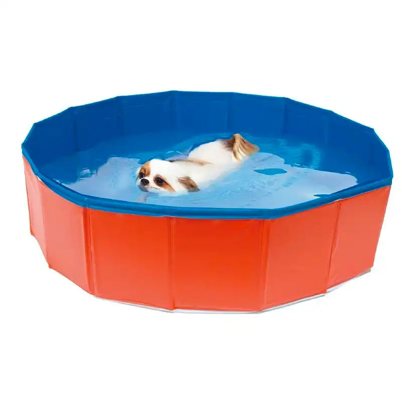 Piscinetta per cani