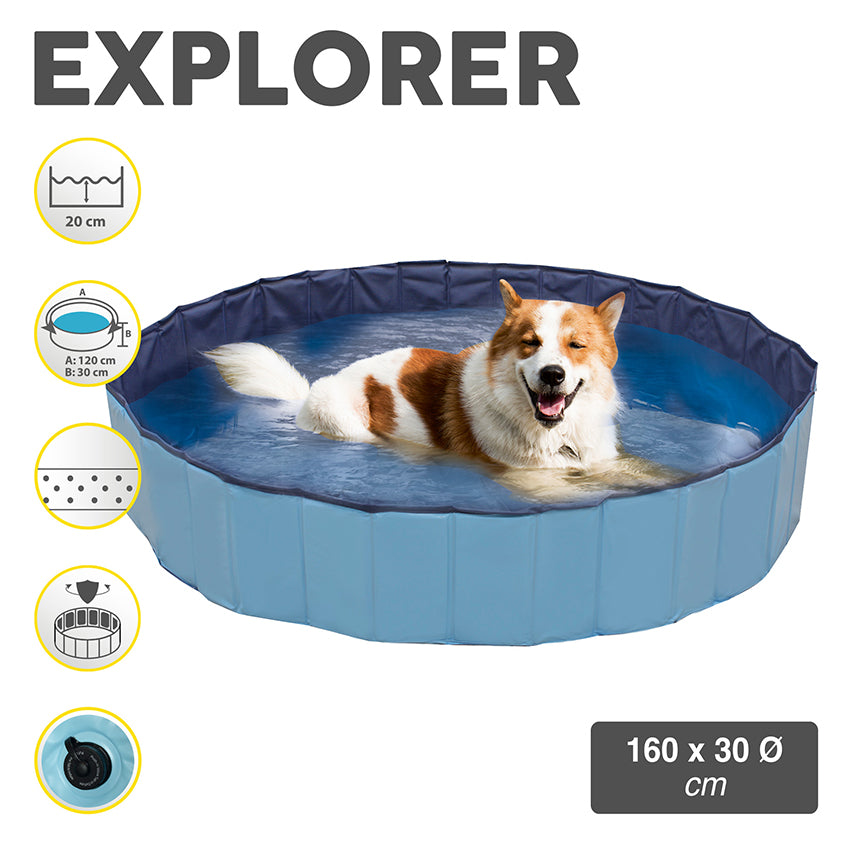 Dog pool - Explorer