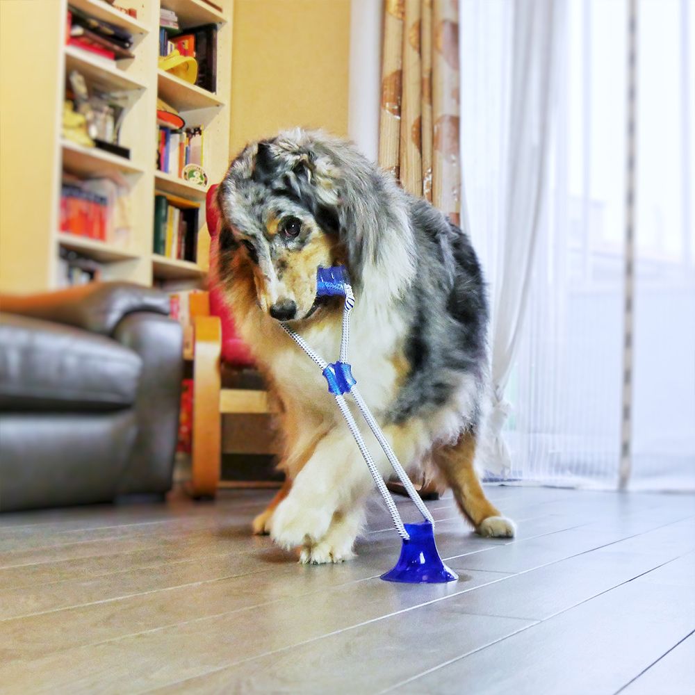 Pull&Play con Stick Gioco per Cani