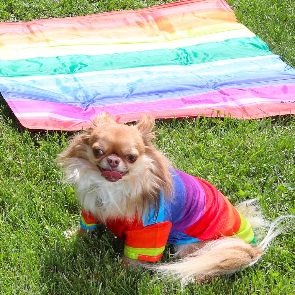 Regenbogen-T-Shirt für Hunde
