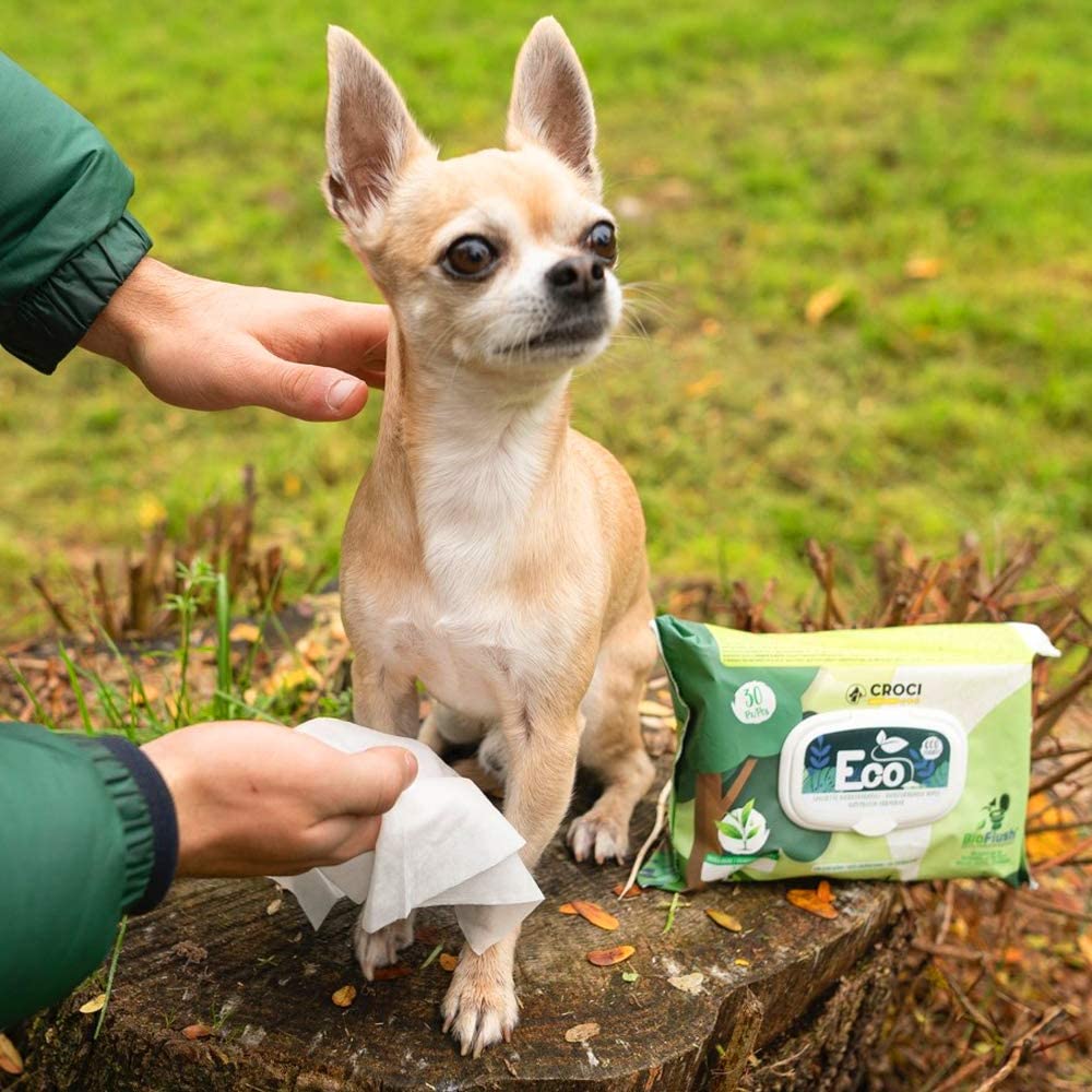 Salviette detergenti per cani Eco Pet Wipes