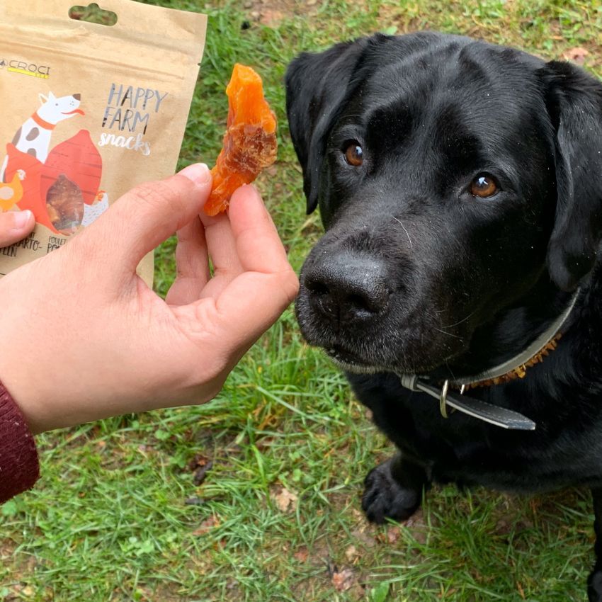 Hundesnack mit Hühnchen und Süßkartoffeln – Happy Farm 