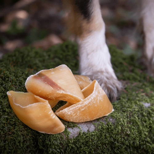 Snack naturali per cani Zoccolo di Bovino Bianco