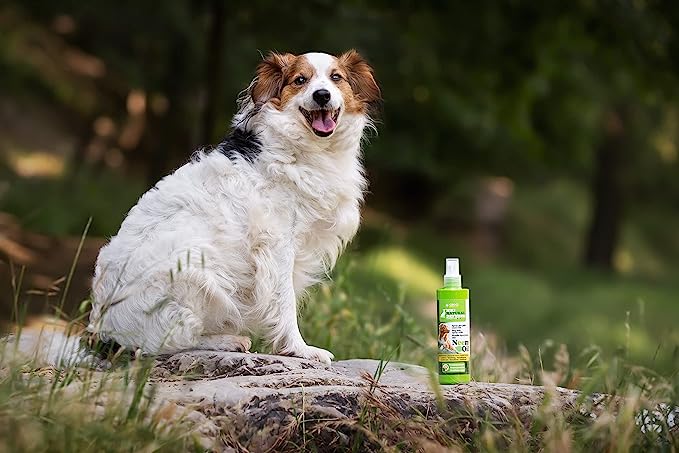 Dog Hair Spray with Neem Oil Niki Natural Defence